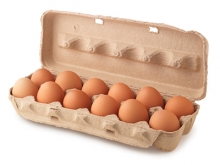 Рынок картонных коробок для яиц